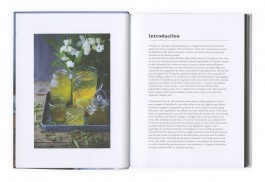 ROMAIN DE ROMAINVILLE