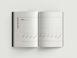 ROMAIN DE ROMAINVILLE