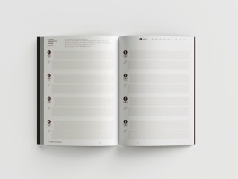 ROMAIN DE ROMAINVILLE