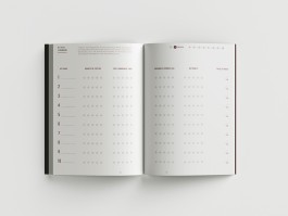 ROMAIN DE ROMAINVILLE