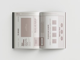 ROMAIN DE ROMAINVILLE