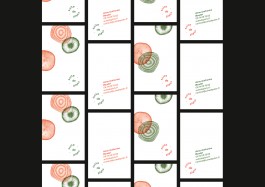 ROMAIN DE ROMAINVILLE