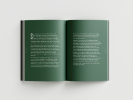 ROMAIN DE ROMAINVILLE