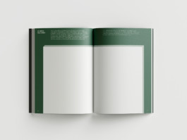 ROMAIN DE ROMAINVILLE