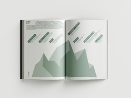 ROMAIN DE ROMAINVILLE