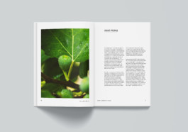 ROMAIN DE ROMAINVILLE