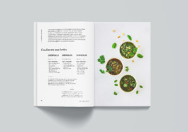 ROMAIN DE ROMAINVILLE