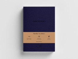 ROMAIN DE ROMAINVILLE