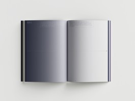 ROMAIN DE ROMAINVILLE