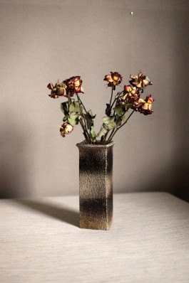 ROMAIN DE ROMAINVILLE