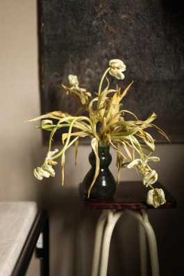 ROMAIN DE ROMAINVILLE