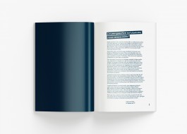 ROMAIN DE ROMAINVILLE